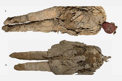 Ученые определили вложенные в погребальную куклу останки человека в Хакасии