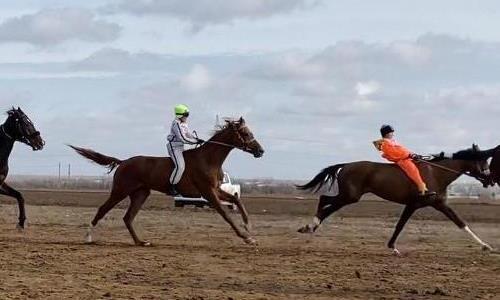 Чемпионат по конным видам спорта прошел в Карагандинской области