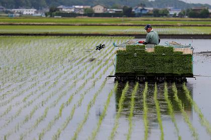В Японии заметили неожиданную выгоду от глобального потепления