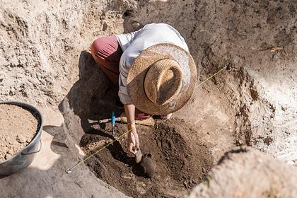 Археологи обнаружили в Саратовской области мечи-акинаки сарматского периода