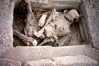 Раскрыта загадка происхождения Таримских мумий