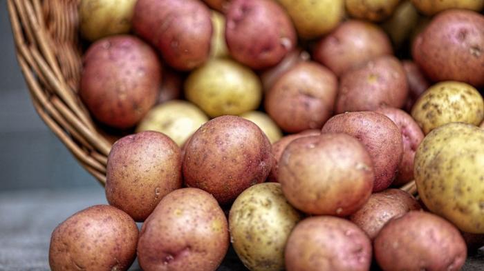 Кому нельзя есть картофель, рассказал диетолог
                02 ноября 2021, 09:23