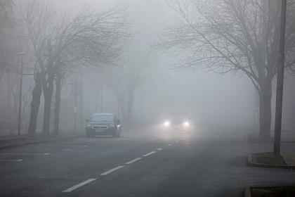 В МЧС назвали сроки рассеивания тумана в Москве
