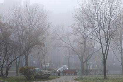 Россиян предупредили о перемене погоды после «радиационного» тумана