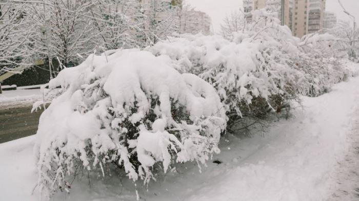 Сильный снег ожидается в Алматы: спасатели предупредили жителей
                02 ноября 2021, 19:35