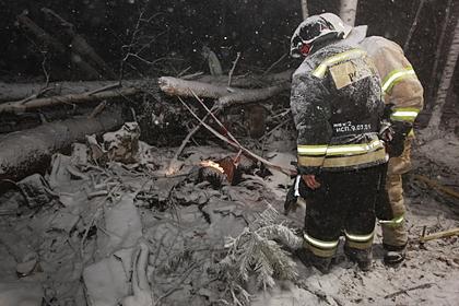 Названы сроки опознания тел погибших при крушении Ан-12 в Иркутской области