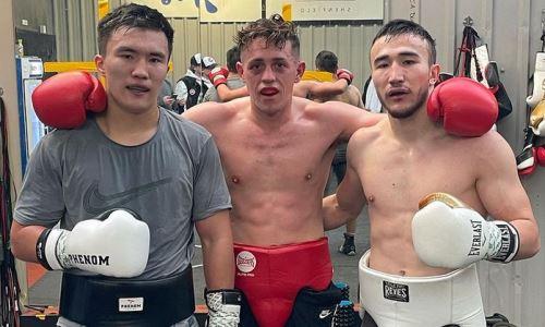 Непобежденные казахстанские боксеры проведут бои за титулы