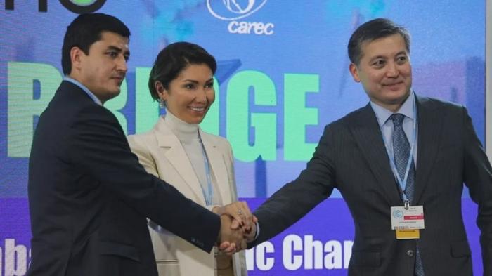 Казахстан объединил экологические устремления Центральной Азии
                04 ноября 2021, 13:00