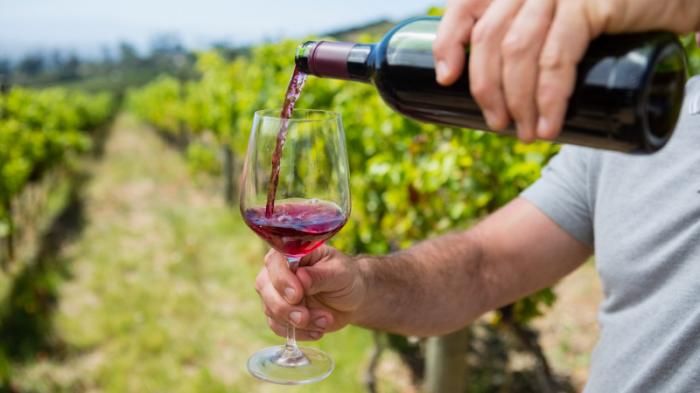 Мировое производство вина упало до исторического минимума
                05 ноября 2021, 13:17