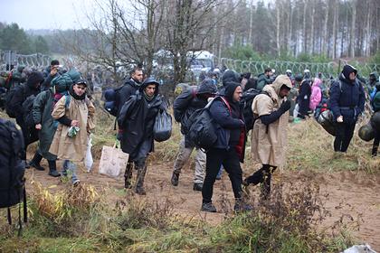 Названо число собравшихся на границе Белоруссии и Польши мигрантов