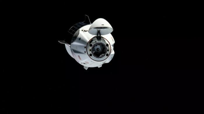 Корабль Сrew Dragon отстыковался от МКС
                09 ноября 2021, 06:09