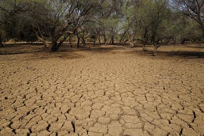 Спрогнозирована катастрофическая засуха «Судного дня»