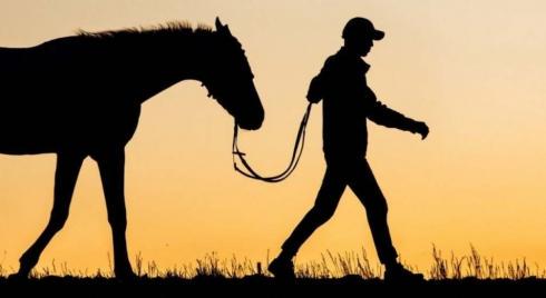 Пастух похитил две лошади из крестьянского хозяйства в Карагандинской области