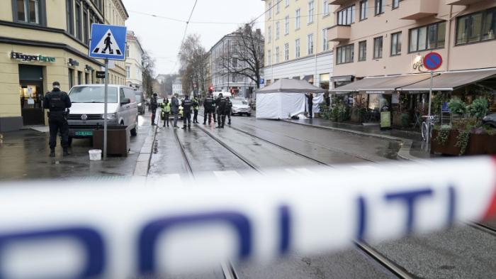 Полиция застрелила полураздетого мужчину с ножом в Осло
                10 ноября 2021, 06:17