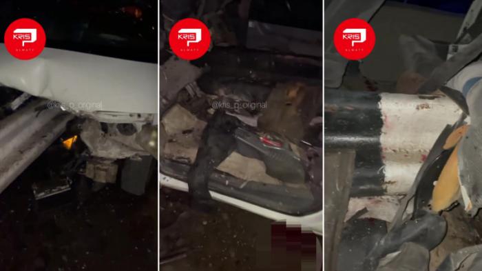 Отбойник пробил минивэн на трассе в Алматинской области
                12 ноября 2021, 11:50