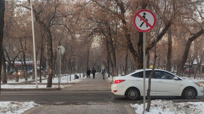 Алматинцам не понравились новые правила для пешеходов на Гагарина
                12 ноября 2021, 13:43