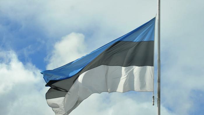 В Эстонии готовятся к укреплению границы на фоне миграционного кризиса