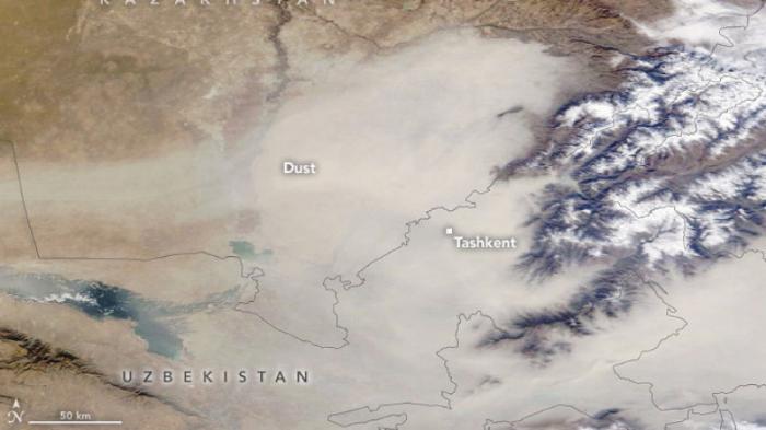 NASA показало снимок экстремальной запыленности воздуха над Ташкентом
                12 ноября 2021, 21:07