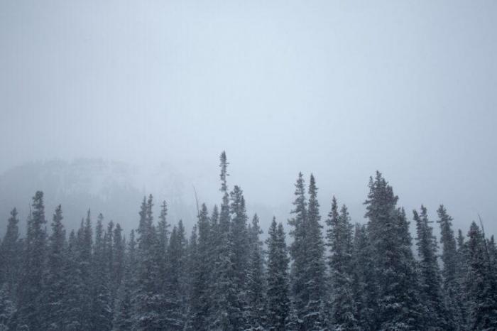 Снег, гололед и туман: какой будет погода в Казахстане