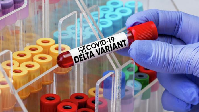 Новую разновидность дельта-штамма коронавируса выявили в Норвегии
                15 ноября 2021, 20:59