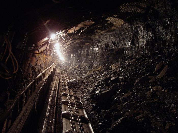 Затопление шахт на Донбассе представляет серьезную экологическую и техногенную опасность, — НАН Украины