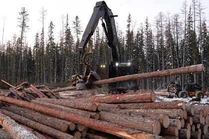 В идее Минприроды нашли угрозу для российских лесов