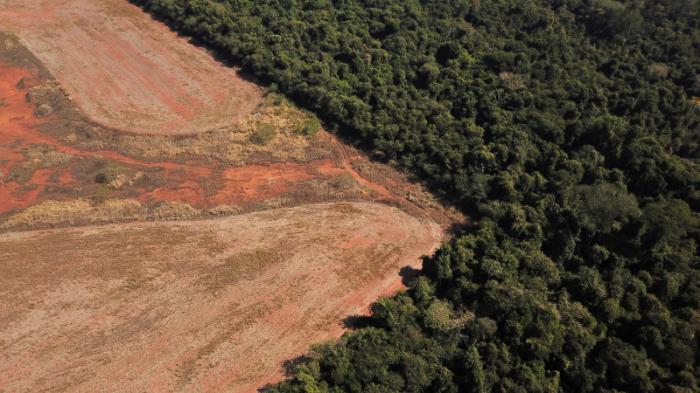 Вырубка амазонских лесов достигла 15-летнего максимума
                19 ноября 2021, 12:10
