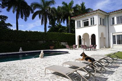 Самый богатый в мире пес продаст дом Мадонны