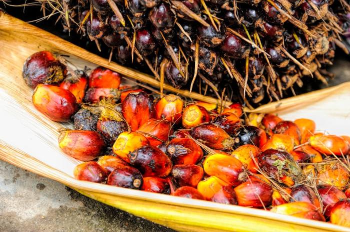 Украину заливают пальмовым маслом. В прошлом месяце его импорт снова увеличился