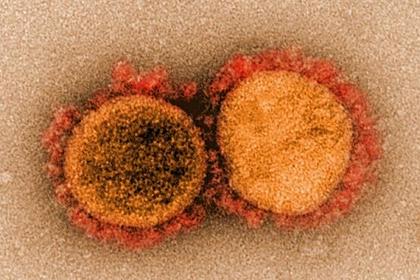 Раскрыта опасность дельта-варианта коронавируса