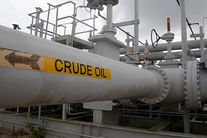 В Госдуме объяснили выпуск нефти из стратегических резервов США