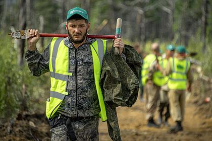 В Крыму завершилась акция «Сохраним лес»