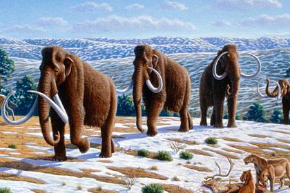 В Якутии решили клонировать древних животных