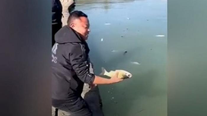 Рыба погибла из-за утечки вина в озеро в Китае
                30 ноября 2021, 04:00