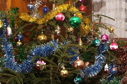 Россиян предупредили о подорожании новогодних елок