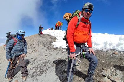 Туристы забрались на высочайшую вершину Мексики ради спасения бездомной собаки