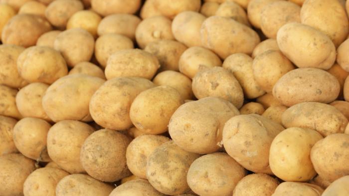 Запрет на экспорт картофеля и КРС введут в Казахстане в конце декабря
                30 ноября 2021, 18:03