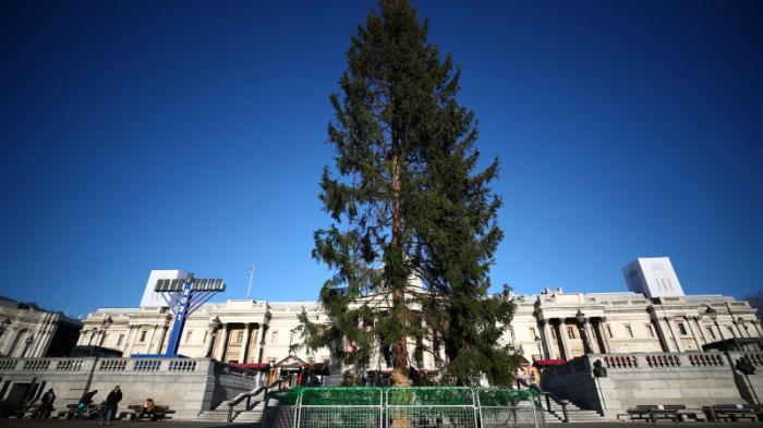 Жители Британии раскритиковали праздничную елку на Трафальгарской площади
                03 декабря 2021, 10:33