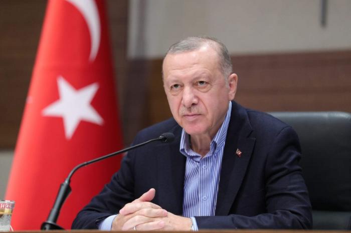 Турция подтвердила готовность стать посредником между Зеленским и Путиным