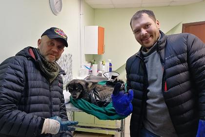 Тульские байкеры спасли тонувшего в сточной канаве пса