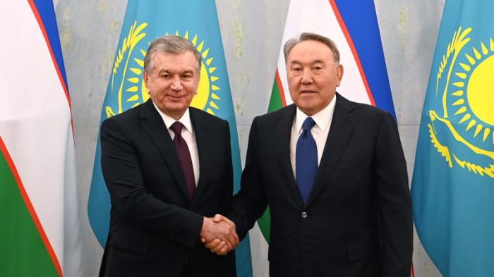 Назарбаев встретился с Мирзиеевым
                06 декабря 2021, 18:36