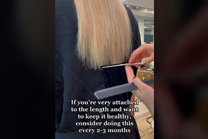 Способ парикмахера ускорить рост волос вывел из себя пользователей сети
