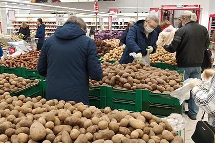 Оценен риск дефицита картофеля в России