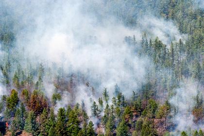 Пожары в России назвали рекордно опасными для планеты
