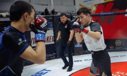 В Шымкенте завершился Кубок Казахстана по MMA. Результаты