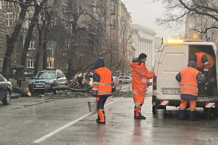 В центре Киева упавшее дерево перегородило дорогу к Офису Президента