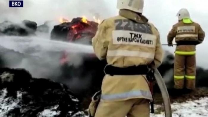 280 тонн сена сгорело в Восточном Казахстане
                08 декабря 2021, 22:00