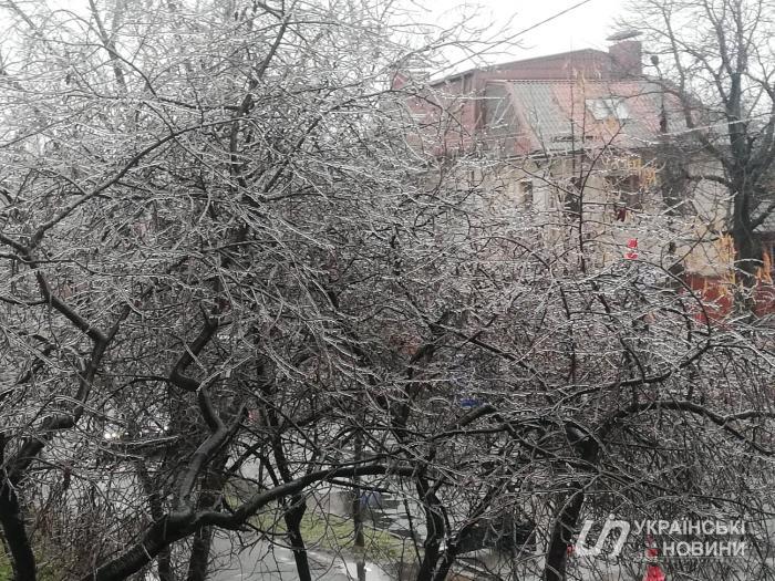 Ледяной дождь в Киеве повалил десятки деревьев