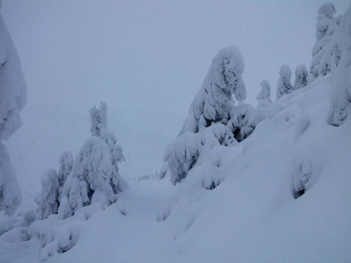 Спасатели предупредили о лавиноопасности в горных областях Украины. Где может сойти снег