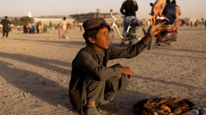 Афганистан получил первую партию гуманитарной помощи от Индии
                11 декабря 2021, 20:45